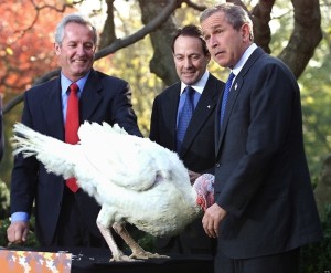 WASHINGTON, :  US President George W. Bush(R) joined by turkey farmers Jeff Radford(L) and Stuart Proctor(C) meets Liberty, the turkey to receive the annual Thanksgiving Presidential Pardon in the Rose Garden of the White House 19 November 2001.  AFP PHOTO / Tim SLOAN (Photo credit should read TIM SLOAN/AFP/Getty Images)